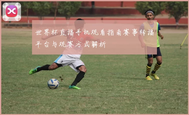 世界杯直播手机观看指南赛事转播平台与观赛方式解析