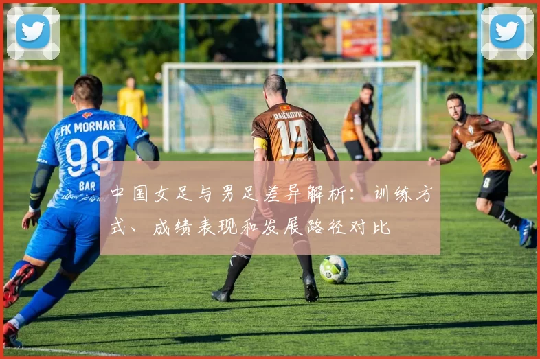 中国女足与男足差异解析：训练方式、成绩表现和发展路径对比