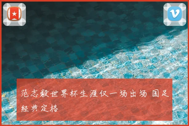 范志毅世界杯生涯仅一场出场 国足经典定格